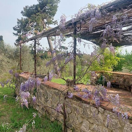Casa Ezio Marchi - Due Appartamenti E Una Family Suite Беттолле Екстер'єр фото