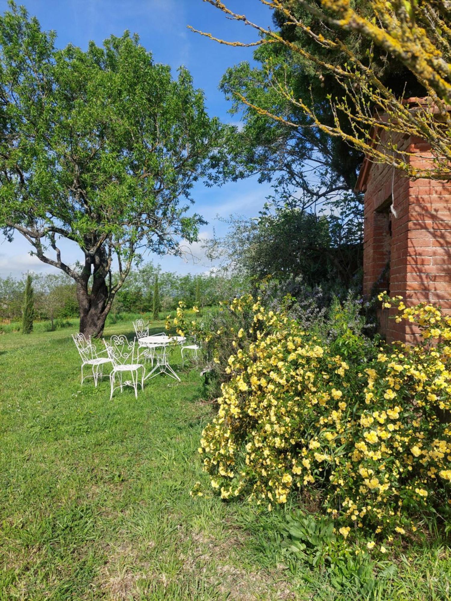 Casa Ezio Marchi - Due Appartamenti E Una Family Suite Беттолле Екстер'єр фото
