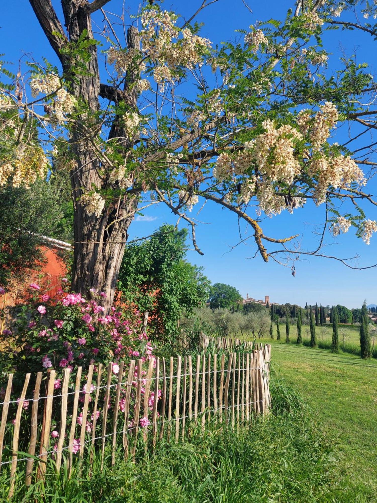 Casa Ezio Marchi - Due Appartamenti E Una Family Suite Беттолле Екстер'єр фото
